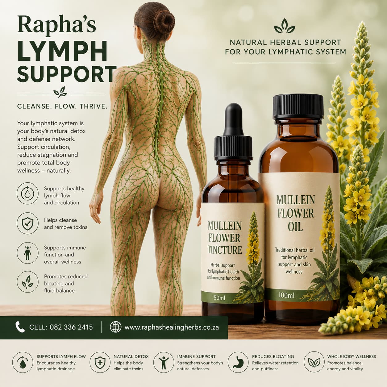 Mullein Lymph support